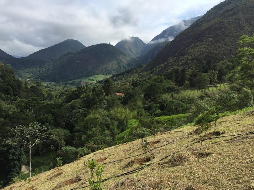 Petrópolis Pousada Quinta Das Nascentes מראה חיצוני תמונה