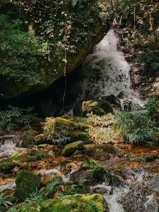 Petrópolis Pousada Quinta Das Nascentes מראה חיצוני תמונה